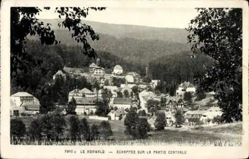 Ak Le Hohwald Elsass Bas Rhin, Teilansicht