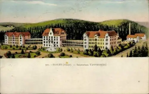 Ak Saales Saal Elsass Bas Rhin, Sanatorium Tannenberg
