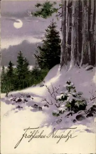 Mondschein Ak Glückwunsch Neujahr, Wald, Tannenbäume, Schnee