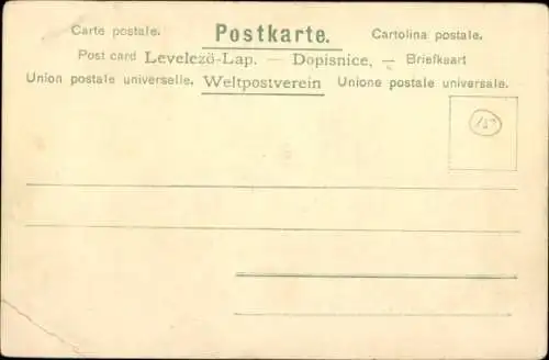 Litho Glückwunsch Pfingsten, Wald, Birken, Pilze, Vermenschlichter Vogel