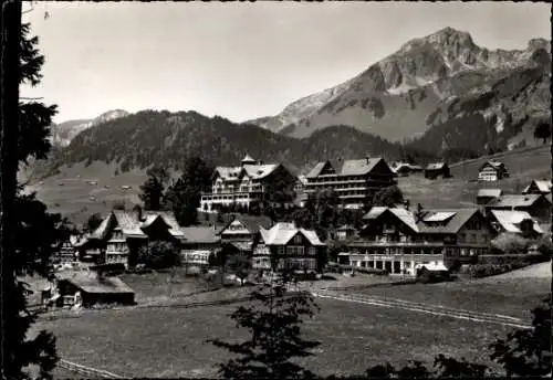 Ak Wildhaus Toggenburg Kanton St Gallen, Gesamtansicht, Berge