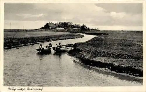 Ak Hallig Hooge in Nordfriesland, Backenswarf