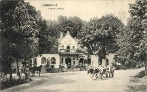 Ak Lübbecke in Westfalen, Horst-Höhle, Kutsche, Ochsengespann