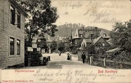 Ak Bad Harzburg in Niedersachsen, Papenbergstraße, Hotel und Villa Asche