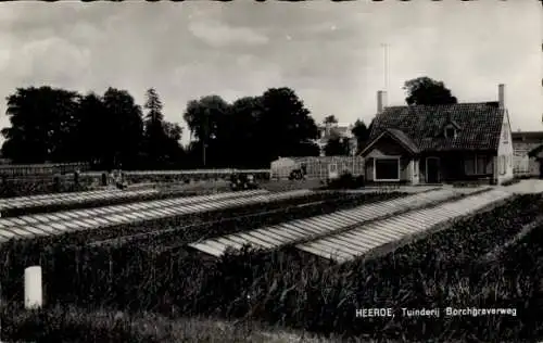 Ak Heerde Gelderland Niederlande, Tuinderij Borchgraverweg