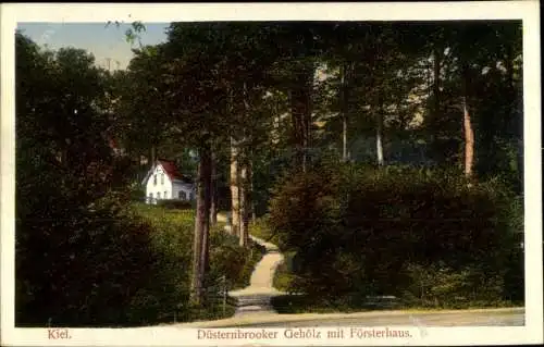Ak Hansestadt Kiel, Düsternbrooker Gehölz, Försterhaus