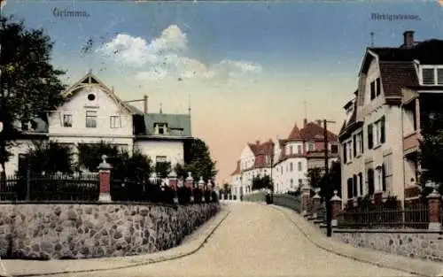 Ak Grimma in Sachsen, Birkigtstraße