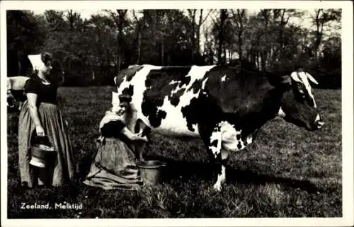 Ak Zeeland, Melktijd, Frauen in Tracht