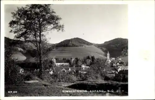 Ak Aspang Niederösterreich, Gesamtansicht