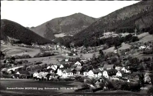 Ak Wopfing Waldegg in Niederösterreich, Panorama, Schneeberg