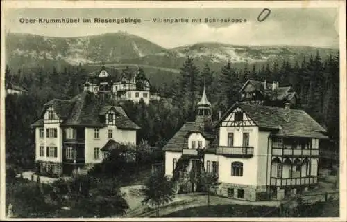 Ak Ober Krummhübel Riesengebirge Schlesien, Villenpartie, Schneekoppe