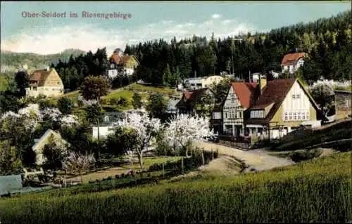 Ak Sosnówka Ober Seidorf Podgórzyn Giersdorf Riesengebirge Schlesien, Gesamtansicht