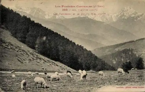 Ak Col d'Aspin Pyrénées Atlantiques, Panorama, Weiden, Pic du Midi