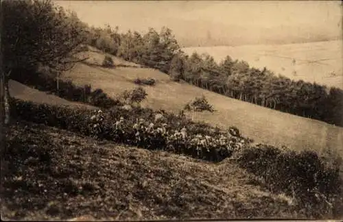 Ak Vogesen, Truppen auf dem Wege zur Stellung, Deutsche Soldaten, I. WK