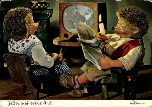 Ak Mecki der Igel, Jeder auf seine Art, Igelfrau, Fernseher, Zeitung