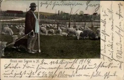 Ak Seesen am Harz, Schafe, Mann mit Hund