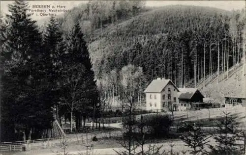Ak Seesen am Harz, Forsthaus Neckelnberg