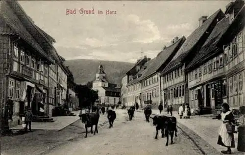 Ak Bad Grund im Harz, Straßenpartie, Viehtrieb durch den Ort, Rinder, Bibliothek, Friseur