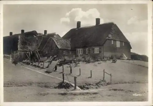 Ak Hallig Hooge in Nordfriesland, Teilansicht, Hallenhaus