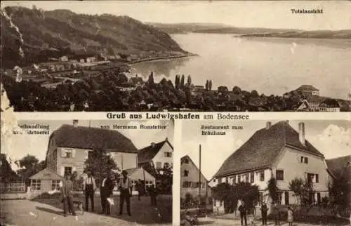 Ak Ludwigshafen am Bodensee, Panorama, Restaurant zum Bräuhaus, Gärtnerei H. Honstetter