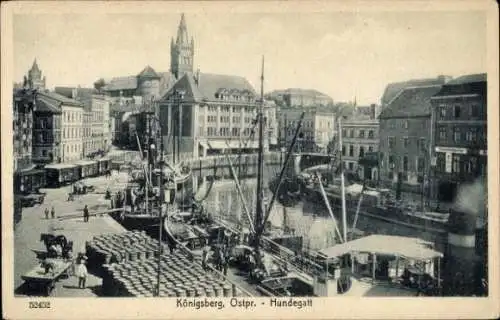 Ak Kaliningrad Königsberg Ostpreußen, Hundegatt