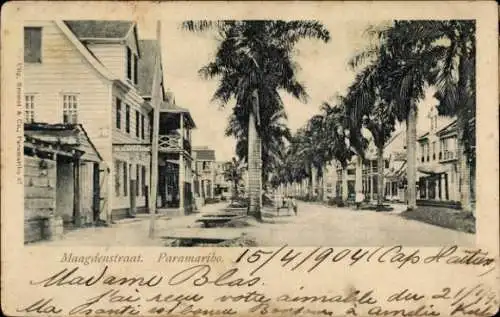 Ak Paramaribo Suriname, Maagdenstraat