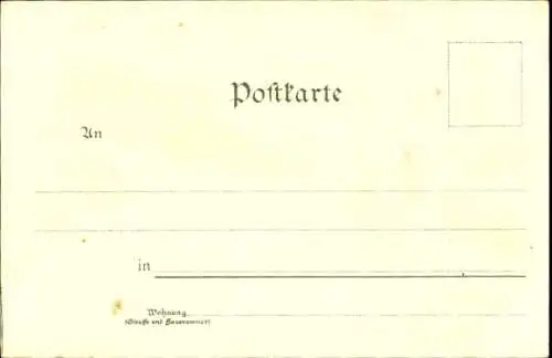 Litho Passau in Niederbayern, Dom, Stadtansicht