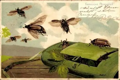 Künstler Litho Mailick, Glückwunsch Pfingsten, Maikäfer krabbeln aus einer Tasche