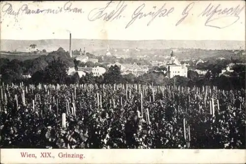 Ak Wien 19 Döbling Grinzing, Gesamtansicht, Weinberg