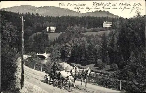 Ak Neubruck Scheibbs Niederösterreich, Villa Hutterstraße