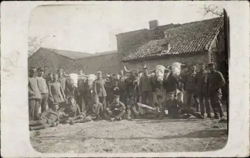 Foto Ak Deutsche Soldaten in Uniformen, Gruppenaufnahme mit Rindern, I WK
