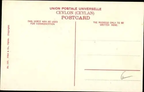 Ak Ceylon Sri Lanka, Der Heilige Bo-Baum, Anuradhapura