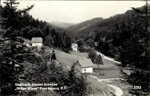 Ak Aspang Niederösterreich, Gasthaus Johann Kronaus, Grüne Wiese