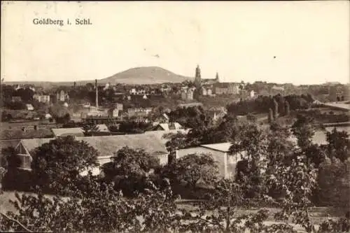 Ak Złotoryja Goldberg Schlesien, Gesamtansicht