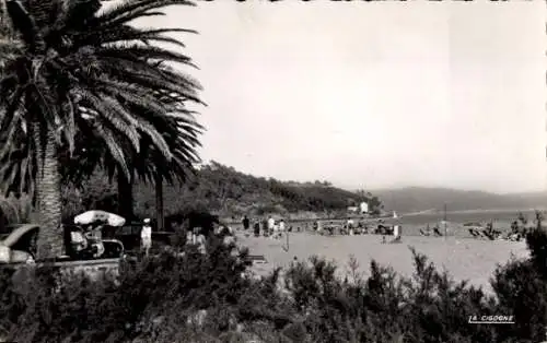 Ak La Croix Valmer Var, Blick auf den Strand