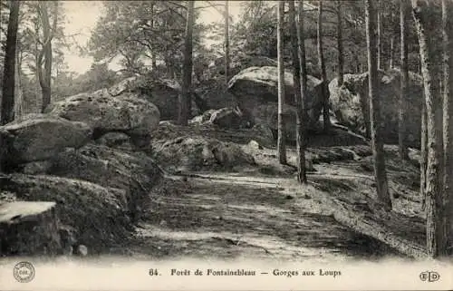 Ak Forêt de Caruelle Fontainebleau Val d´Oise, Gorges aux  Loups