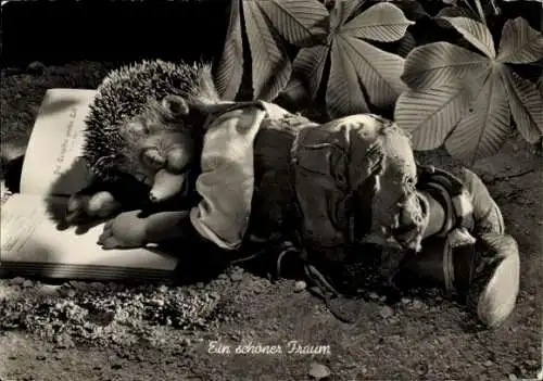 Ak Mecki der Igel, Ein schöner Traum