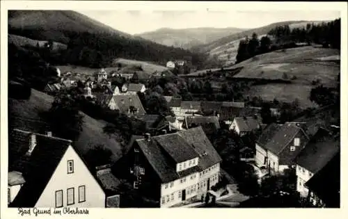 Ak Bad Grund im Harz, Teilansicht