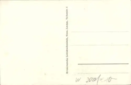 Ak Hannover in Niedersachsen, 9. Dt. Sängerbundesfest 1924, Festplatz, Maibäume