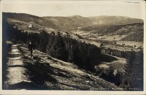 Ak Bärental Feldberg im Schwarzwald, Feldbergmassiv, Wanderer