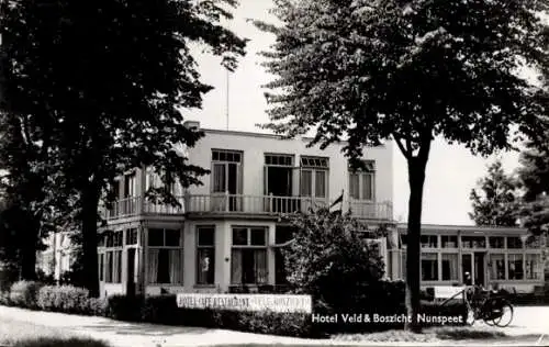Ak Nunspeet Gelderland, Hotel de Veld & Boszicht