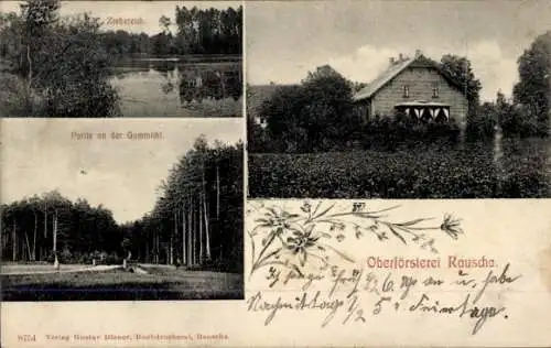 Ak Ruszów Rauscha in der Oberlausitz Węgliniec Niederschlesien, Oberförsterei, Ziebeteich, Gummicht