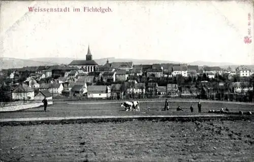 Ak Weißenstadt im Fichtelgebirge, Totalansicht, Kuh