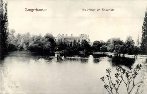 Ak Sangerhausen Thüringen, Deierteich mit Rosarium