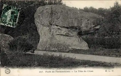 Ak Forêt de Caruelle Fontainebleau Val d´Oise, Tete du Chien