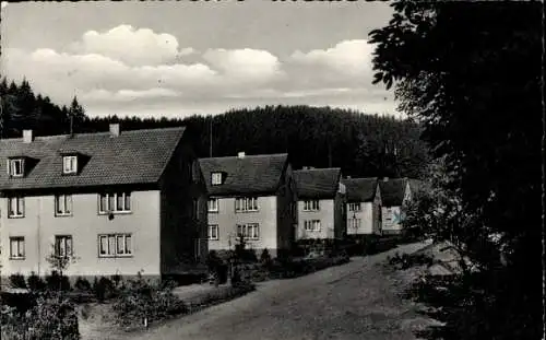 Ak Bad Grund im Harz, Hübichweg, Neue Siedlung