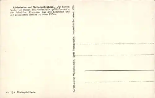 Ak Rüdesheim am Rhein, Panorama mit Niederwald Nationaldenkmal