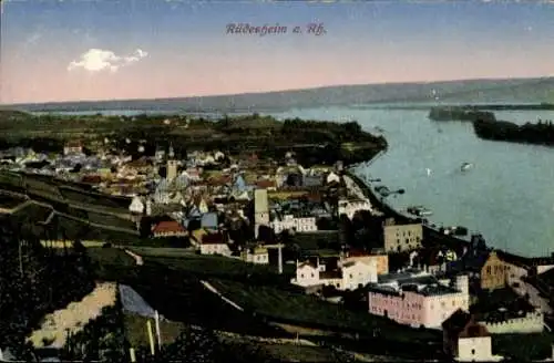 Ak Rüdesheim am Rhein, Panorama