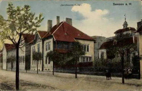 Ak Seesen am Harz, Jacobsonschule