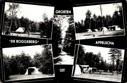 Ak Appelscha Friesland Niederlande, De Roggeberg, Camping en bungalowpark